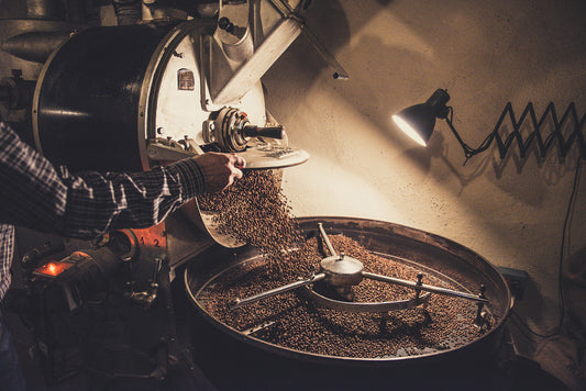 Artisanal Coffee Culture in New Zealand